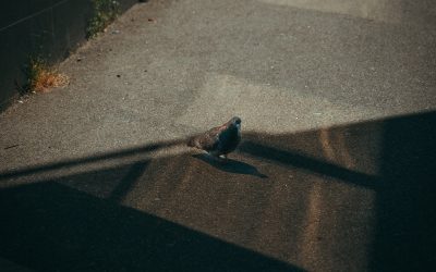 The Product Manager’s Survival Guide to the ChatGPT Era: Beyond Prompt Engineering