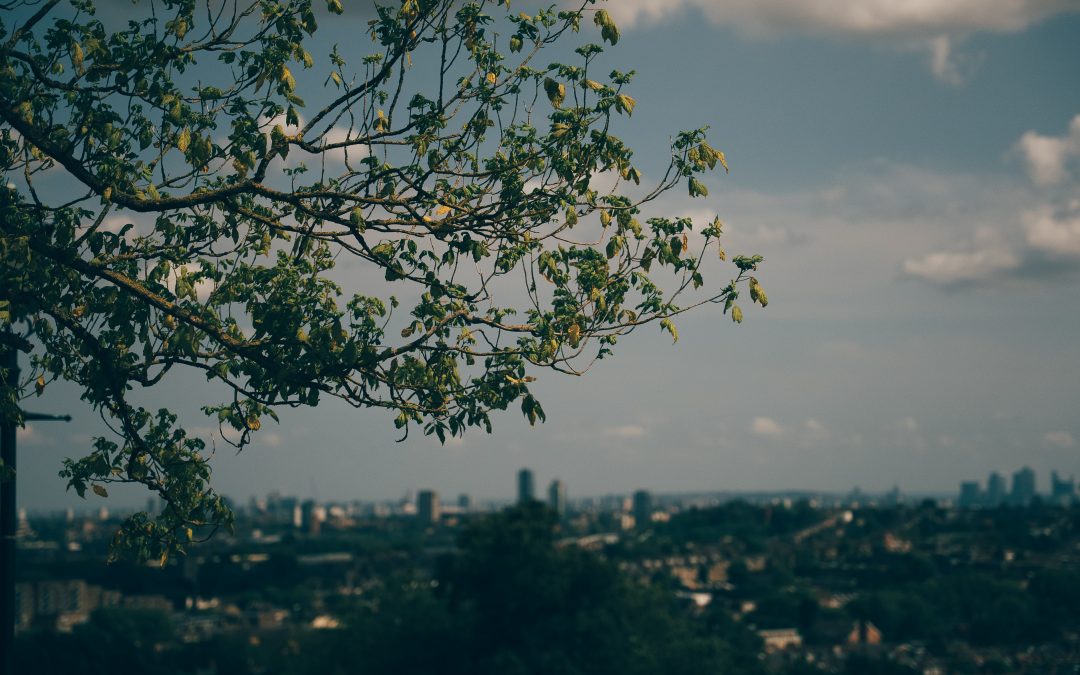 Judgment Over Velocity: Why Product Leadership Means Knowing When to Say No