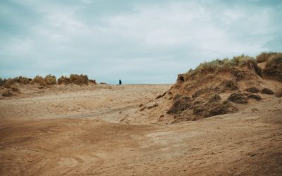 Speaking Business: The New Currency for Product Influence